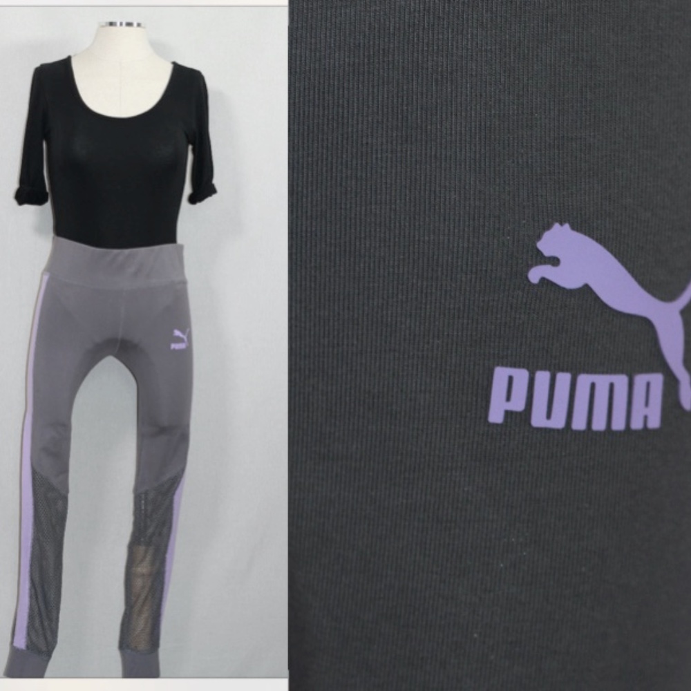 Puma (s)